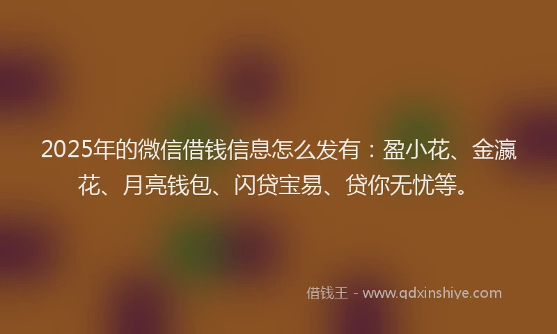 2025年的微信借钱信息怎么发有：盈小花、金瀛花、月亮钱包、闪贷宝易、贷你无忧等。