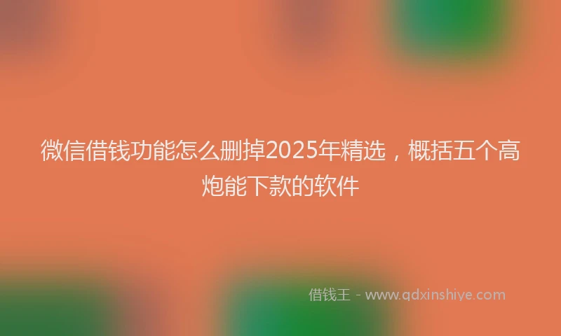 微信借钱功能怎么删掉2025年精选，概括五个高炮能下款的软件