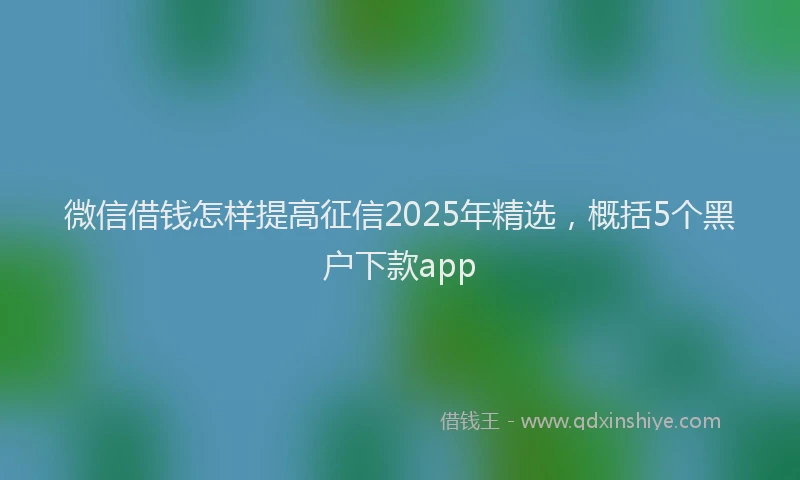 微信借钱怎样提高征信2025年精选，概括5个黑户下款app