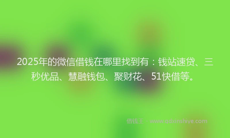 2025年的微信借钱在哪里找到有：钱站速贷、三秒优品、慧融钱包、聚财花、51快借等。