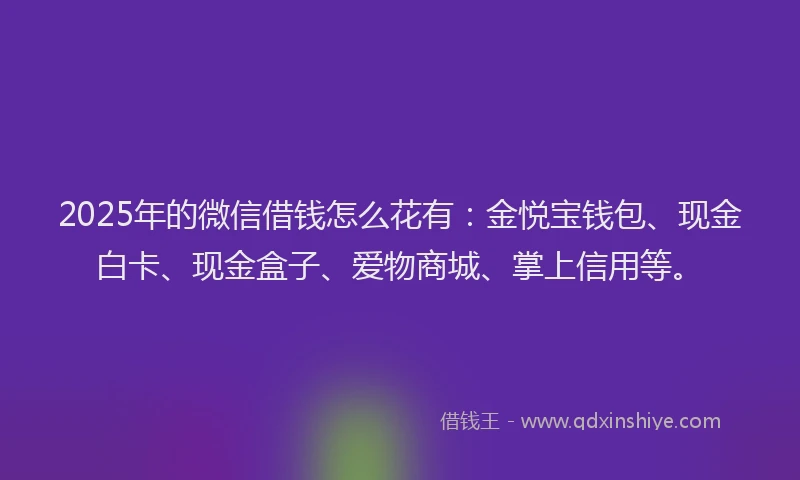 2025年的微信借钱怎么花有:金悦宝钱包、现金白卡、现金盒子、爱物商城、掌上信用等。
