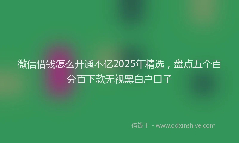 微信借钱怎么开通不亿2025年精选，盘点五个百分百下款无视黑白户口子