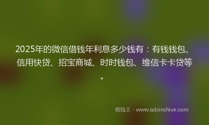 2025年的微信借钱年利息多少钱有：有钱钱包、信用快贷、招宝商城、时时钱包、维信卡卡贷等。