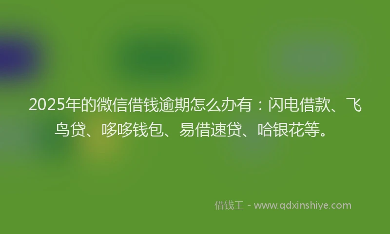 2025年的微信借钱逾期怎么办有：闪电借款、飞鸟贷、哆哆钱包、易借速贷、哈银花等。