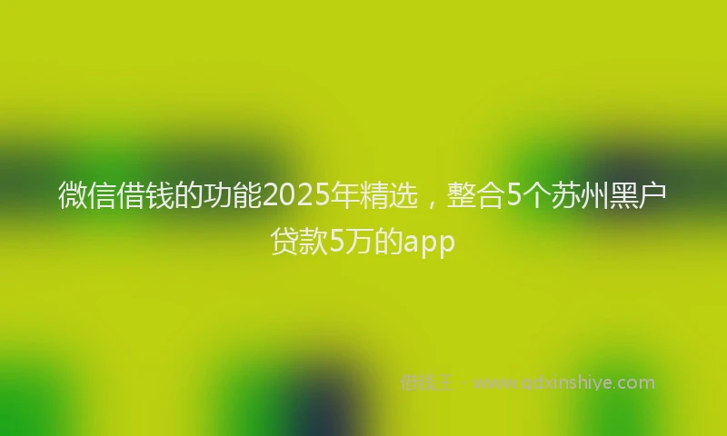 微信借钱的功能2025年精选，整合5个苏州黑户贷款5万的app