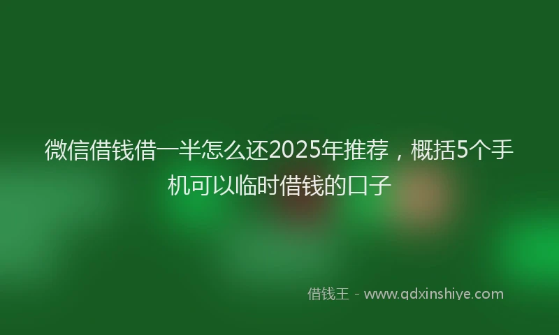 微信借钱借一半怎么还2025年推荐，概括5个手机可以临时借钱的口子
