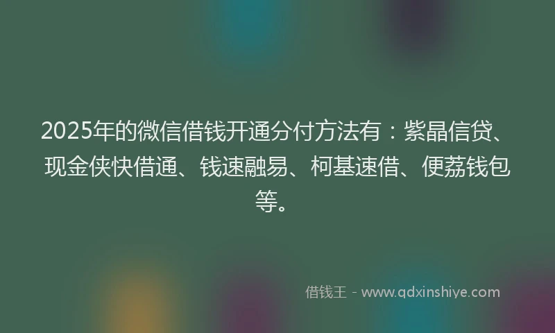 2025年的微信借钱开通分付方法有：紫晶信贷、现金侠快借通、钱速融易、柯基速借、便荔钱包等。