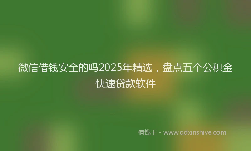 微信借钱安全的吗2025年精选，盘点五个公积金快速贷款软件