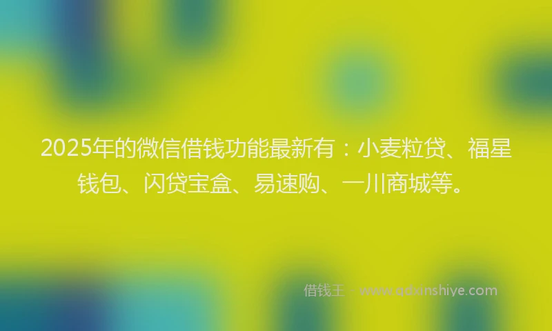2025年的微信借钱功能最新有：小麦粒贷、福星钱包、闪贷宝盒、易速购、一川商城等。