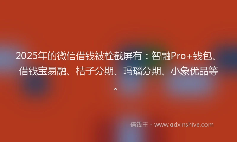 2025年的微信借钱被栓截屏有：智融Pro+钱包、借钱宝易融、桔子分期、玛瑙分期、小象优品等。
