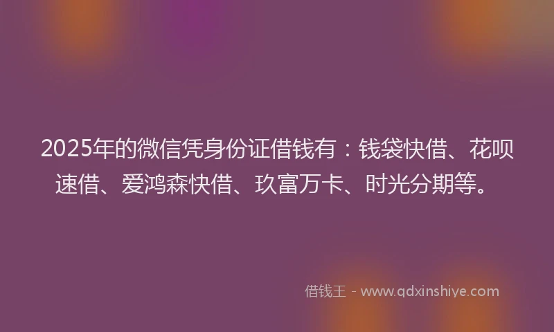 2025年的微信凭身份证借钱有：钱袋快借、花呗速借、爱鸿森快借、玖富万卡、时光分期等。