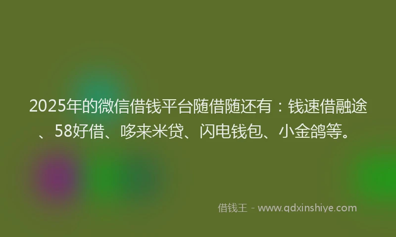 2025年的微信借钱平台随借随还有：钱速借融途、58好借、哆来米贷、闪电钱包、小金鸽等。