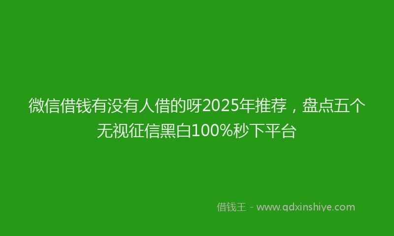 微信借钱有没有人借的呀2025年推荐，盘点五个无视征信黑白100%秒下平台