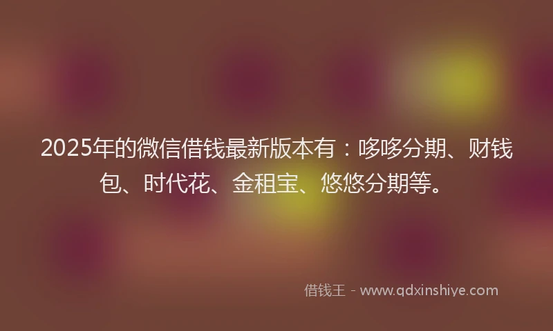 2025年的微信借钱最新版本有：哆哆分期、财钱包、时代花、金租宝、悠悠分期等。