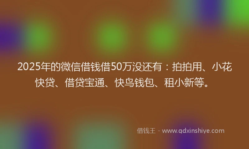 2025年的微信借钱借50万没还有：拍拍用、小花快贷、借贷宝通、快鸟钱包、租小新等。