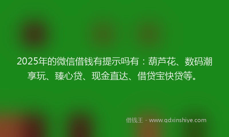 2025年的微信借钱有提示吗有：葫芦花、数码潮享玩、臻心贷、现金直达、借贷宝快贷等。
