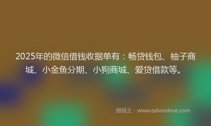 2025年的微信借钱收据单有：畅贷钱包、柚子商城、小金鱼分期、小狗商城、爱贷借款等。