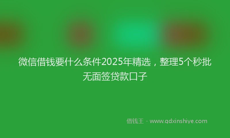 微信借钱要什么条件2025年精选，整理5个秒批无面签贷款口子