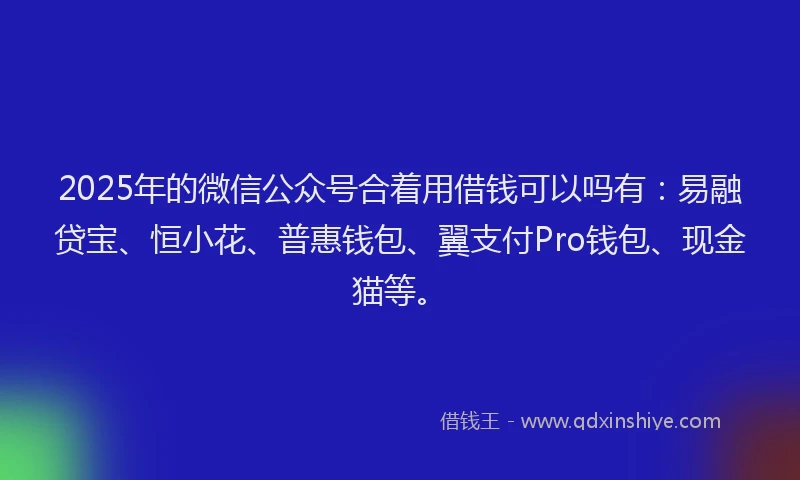 2025年的微信公众号合着用借钱可以吗有：易融贷宝、恒小花、普惠钱包、翼支付Pro钱包、现金猫等。