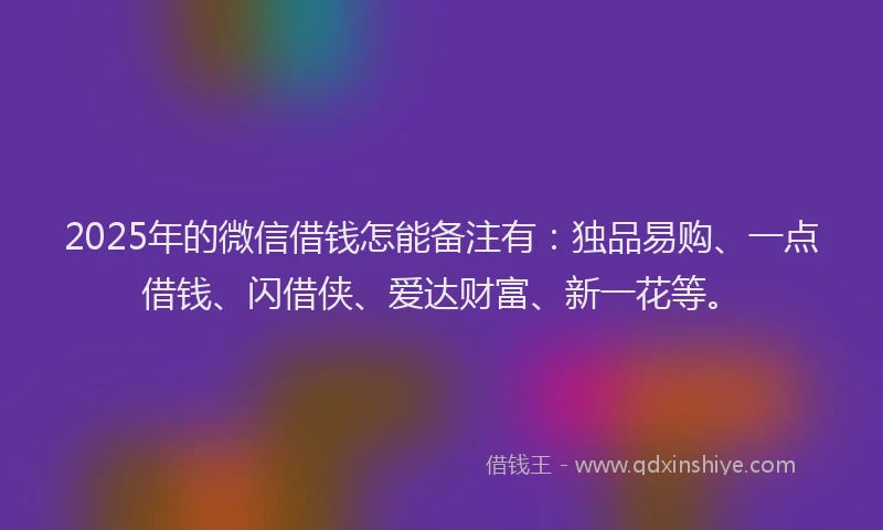 2025年的微信借钱怎能备注有：独品易购、一点借钱、闪借侠、爱达财富、新一花等。