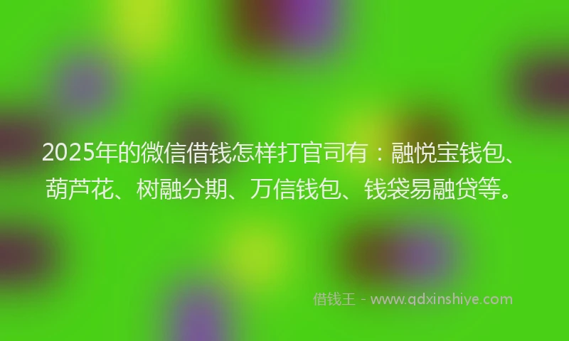 2025年的微信借钱怎样打官司有：融悦宝钱包、葫芦花、树融分期、万信钱包、钱袋易融贷等。