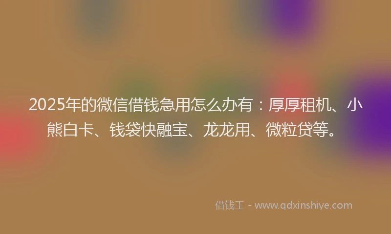 2025年的微信借钱急用怎么办有：厚厚租机、小熊白卡、钱袋快融宝、龙龙用、微粒贷等。
