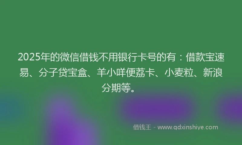 2025年的微信借钱不用银行卡号的有：借款宝速易、分子贷宝盒、羊小咩便荔卡、小麦粒、新浪分期等。