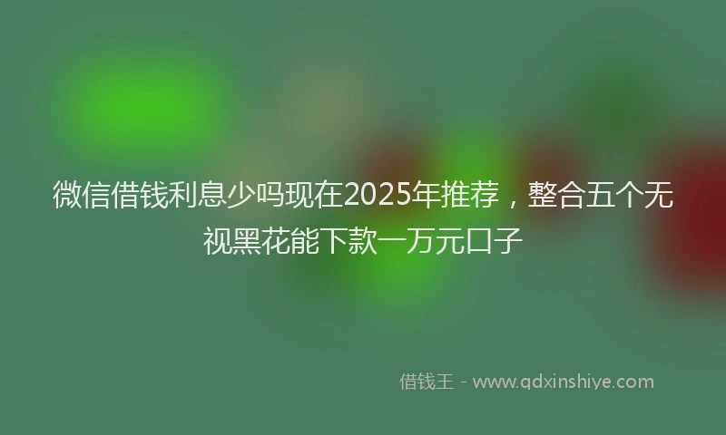 微信借钱利息少吗现在2025年推荐，整合五个无视黑花能下款一万元口子