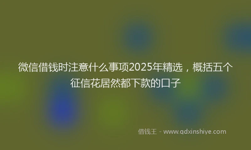 微信借钱时注意什么事项2025年精选，概括五个征信花居然都下款的口子