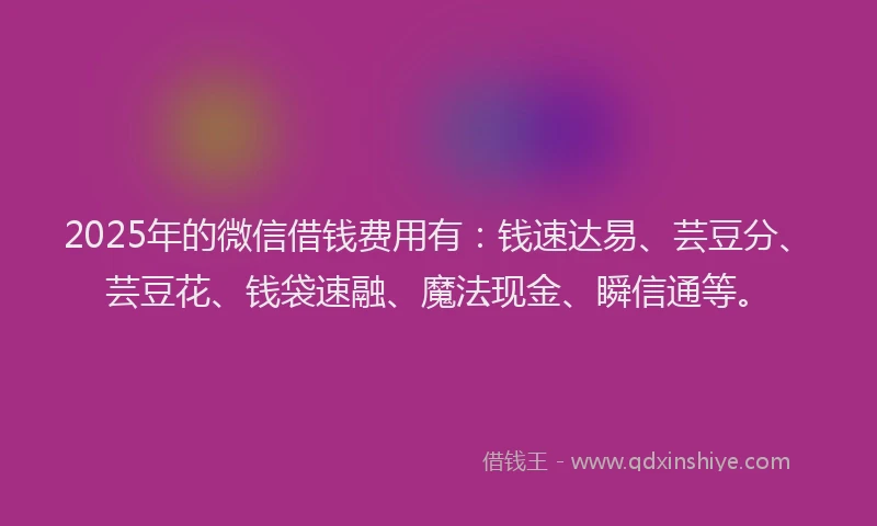 2025年的微信借钱费用有：钱速达易、芸豆分、芸豆花、钱袋速融、魔法现金、瞬信通等。