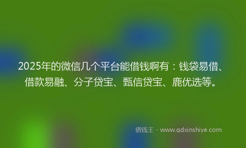 2025年的微信几个平台能借钱啊有：钱袋易借、借款易融、分子贷宝、甄信贷宝、鹿优选等。