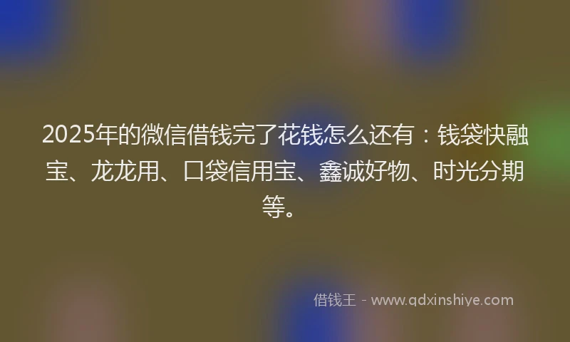 2025年的微信借钱完了花钱怎么还有：钱袋快融宝、龙龙用、口袋信用宝、鑫诚好物、时光分期等。