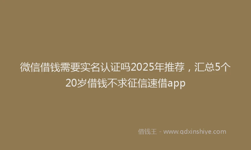 微信借钱需要实名认证吗2025年推荐，汇总5个20岁借钱不求征信速借app