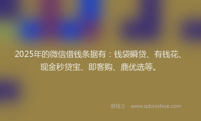 2025年的微信借钱条据有：钱袋瞬贷、有钱花、现金秒贷宝、即客购、鹿优选等。