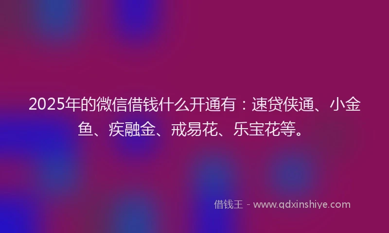 2025年的微信借钱什么开通有：速贷侠通、小金鱼、疾融金、戒易花、乐宝花等。