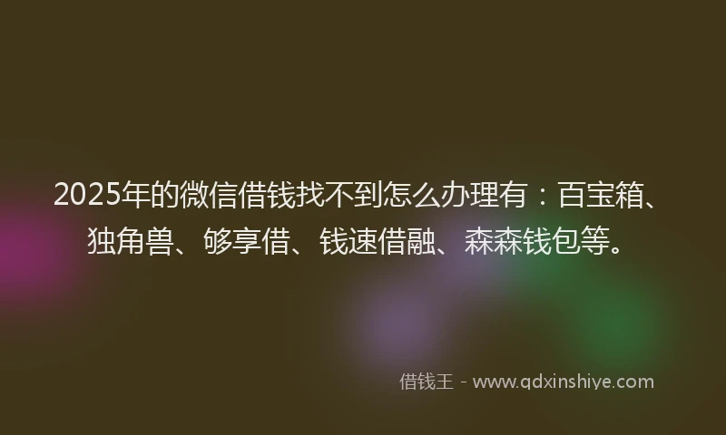 2025年的微信借钱找不到怎么办理有：百宝箱、独角兽、够享借、钱速借融、森森钱包等。