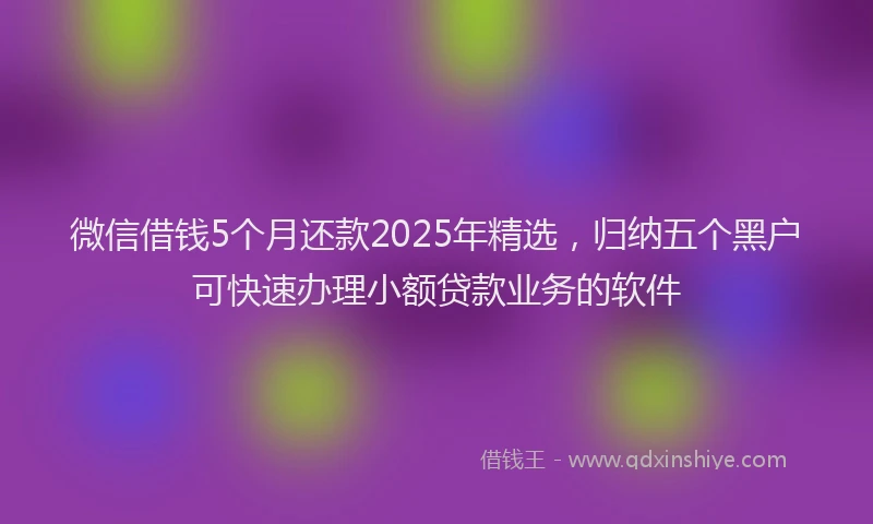 微信借钱5个月还款2025年精选，归纳五个黑户可快速办理小额贷款业务的软件