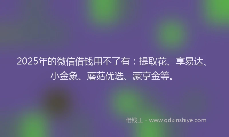 2025年的微信借钱用不了有：提取花、享易达、小金象、蘑菇优选、蒙享金等。