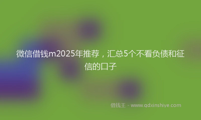 微信借钱m2025年推荐，汇总5个不看负债和征信的口子