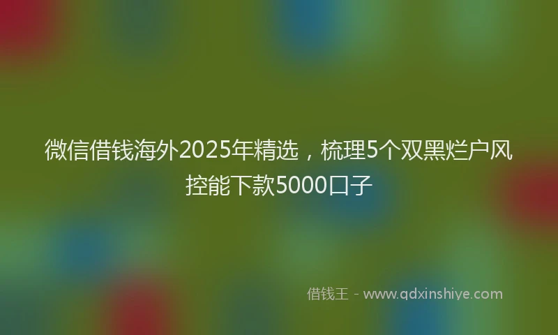 微信借钱海外2025年精选，梳理5个双黑烂户风控能下款5000口子