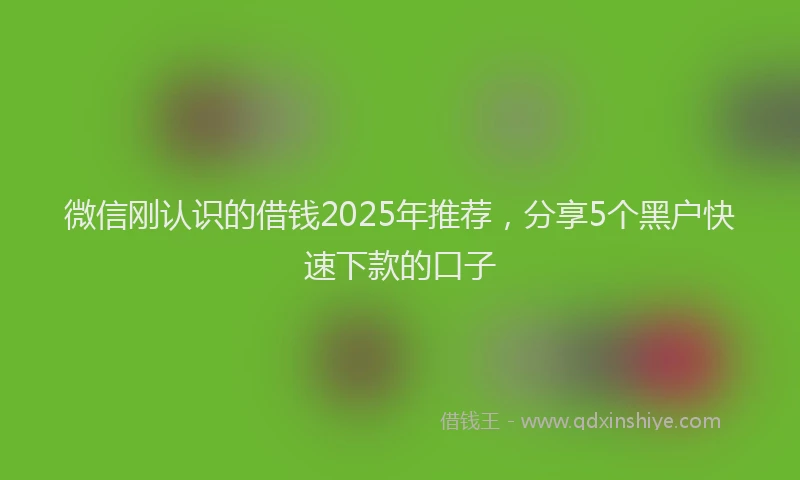 微信刚认识的借钱2025年推荐，分享5个黑户快速下款的口子