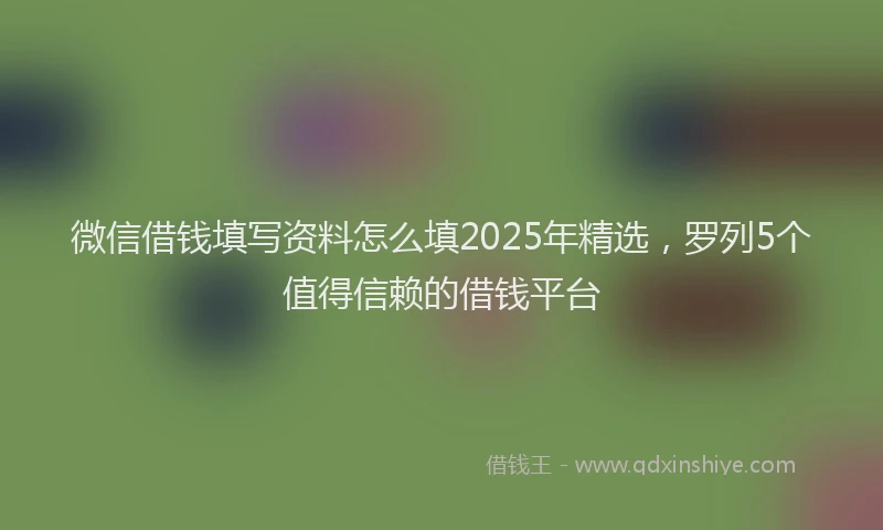 微信借钱填写资料怎么填2025年精选，罗列5个值得信赖的借钱平台