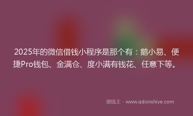 2025年的微信借钱小程序是那个有：鹅小易、便捷Pro钱包、金满仓、度小满有钱花、任意下等。