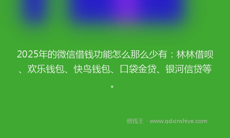 2025年的微信借钱功能怎么那么少有：林林借呗、欢乐钱包、快鸟钱包、口袋金贷、银河信贷等。