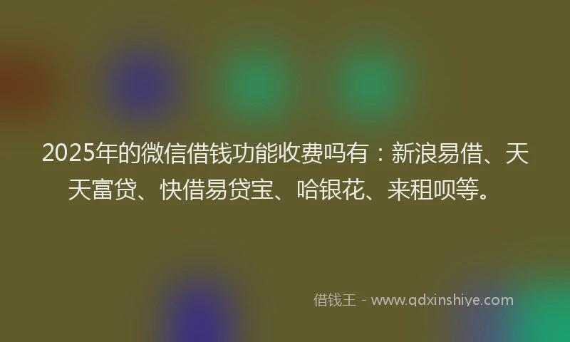 2025年的微信借钱功能收费吗有：新浪易借、天天富贷、快借易贷宝、哈银花、来租呗等。