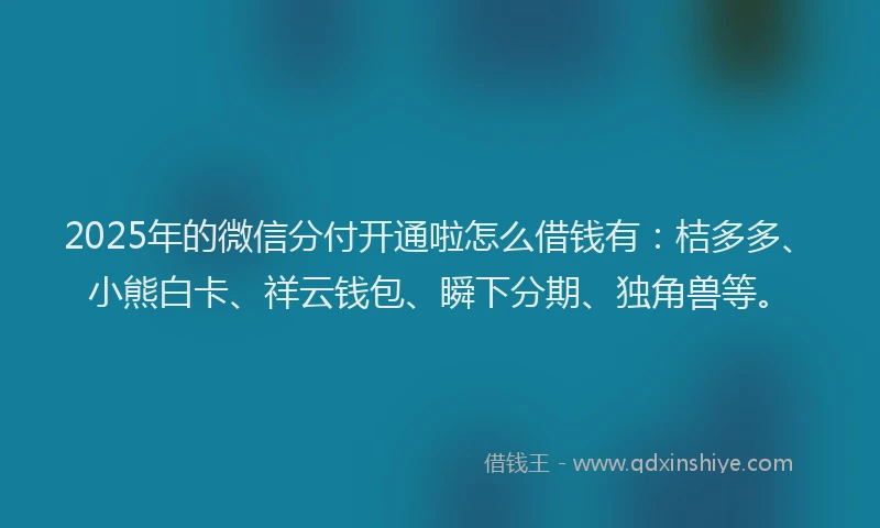 2025年的微信分付开通啦怎么借钱有：桔多多、小熊白卡、祥云钱包、瞬下分期、独角兽等。