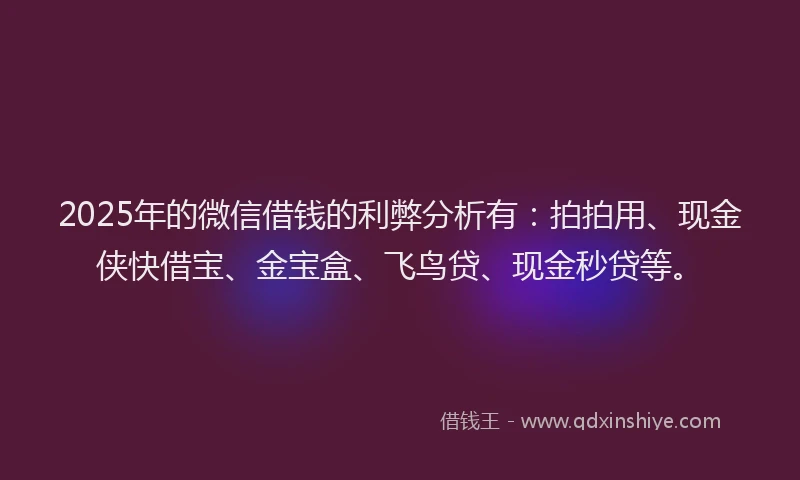 2025年的微信借钱的利弊分析有：拍拍用、现金侠快借宝、金宝盒、飞鸟贷、现金秒贷等。