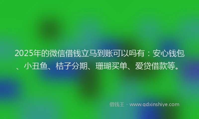 2025年的微信借钱立马到账可以吗有：安心钱包、小丑鱼、桔子分期、珊瑚买单、爱贷借款等。