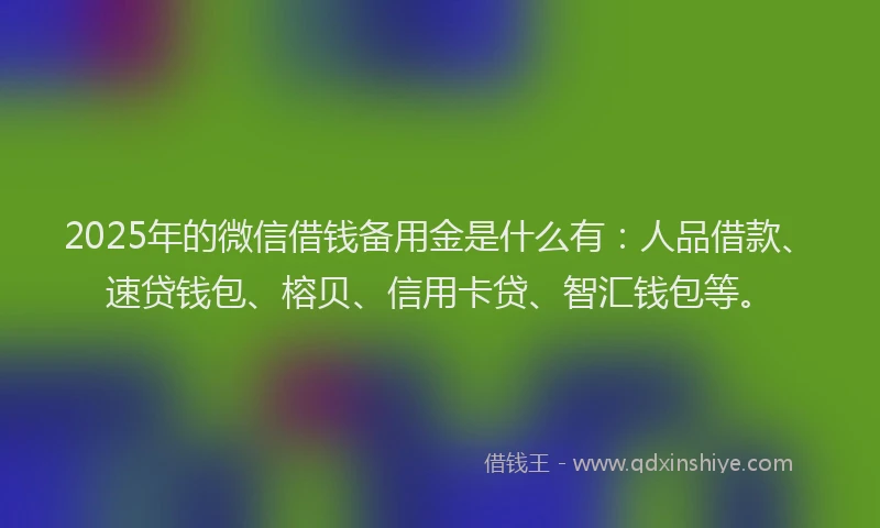 2025年的微信借钱备用金是什么有：人品借款、速贷钱包、榕贝、信用卡贷、智汇钱包等。