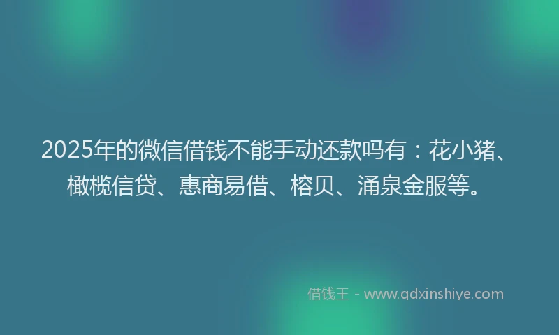 2025年的微信借钱不能手动还款吗有：花小猪、橄榄信贷、惠商易借、榕贝、涌泉金服等。
